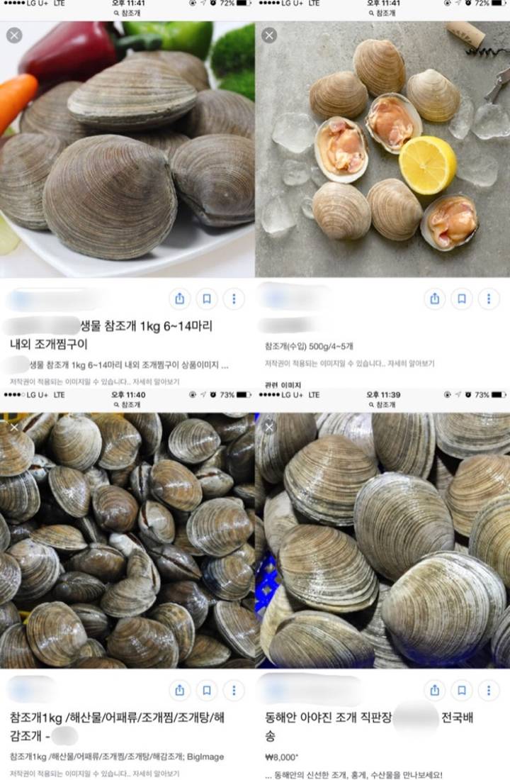 아담스백합
