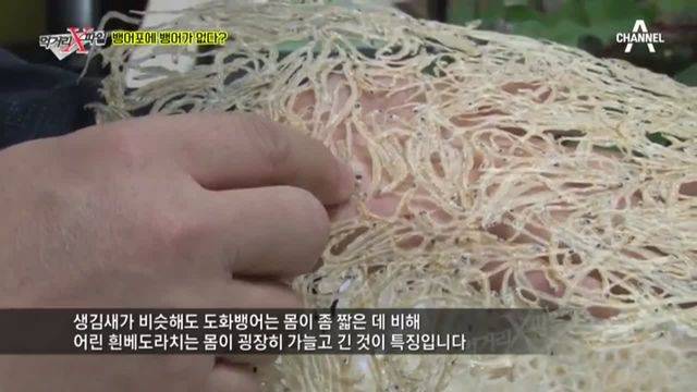 뱅어