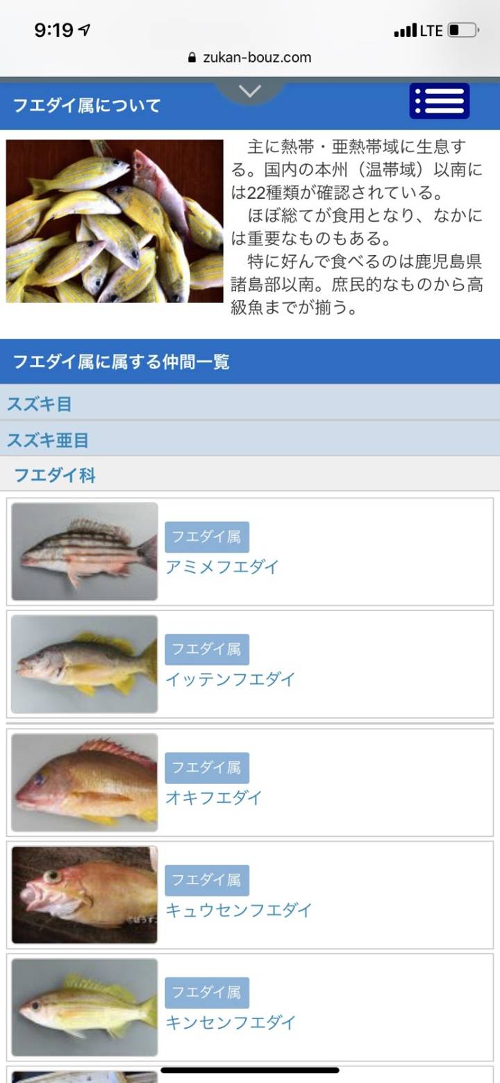 바라후에다이(한글명 없음)