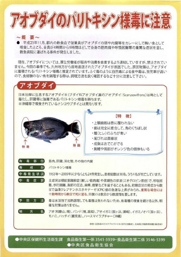비늘돔