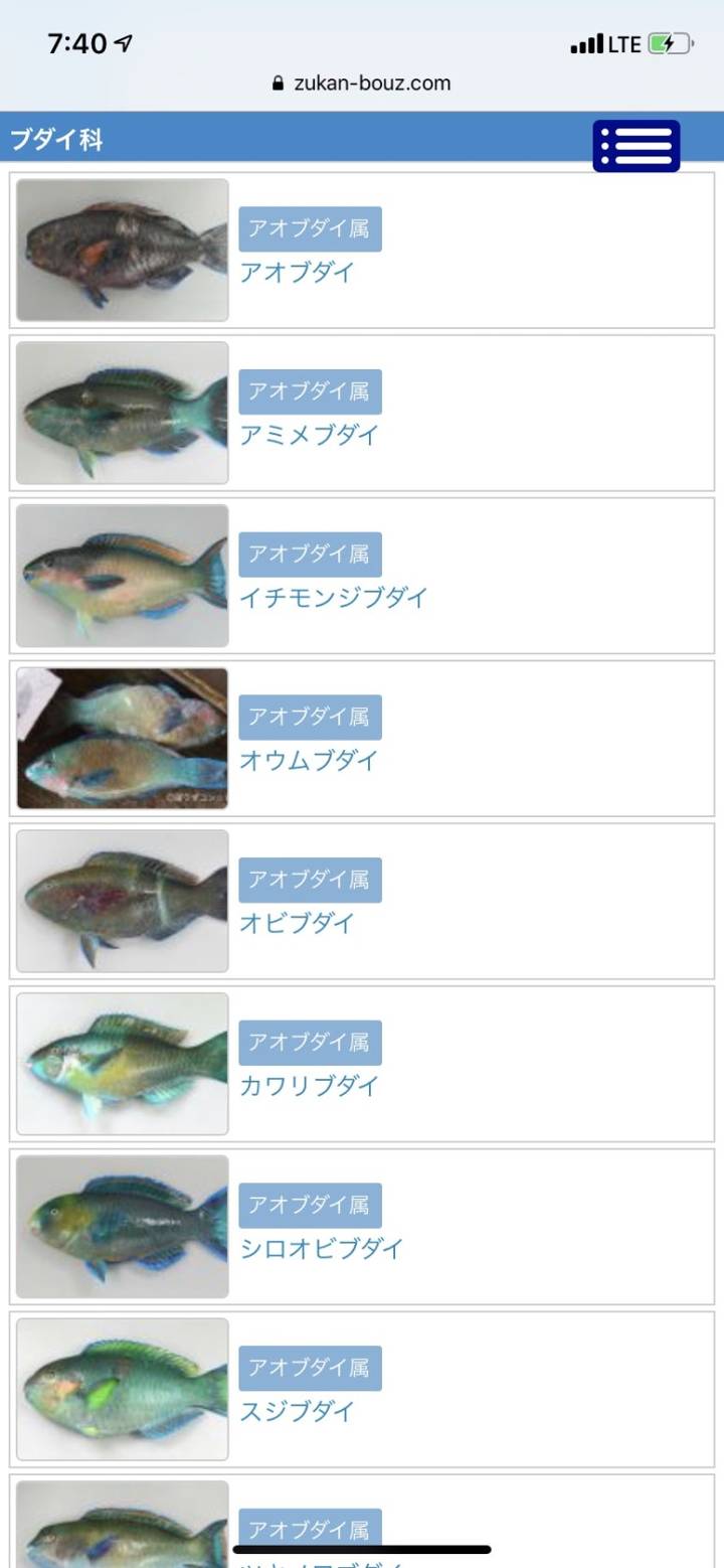 비늘돔