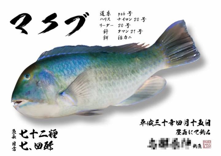 비늘돔