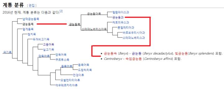 빛금눈돔