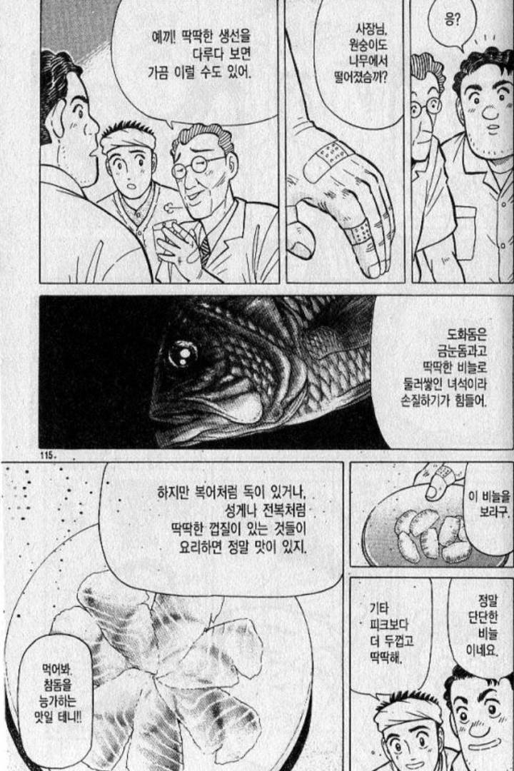 빛금눈돔