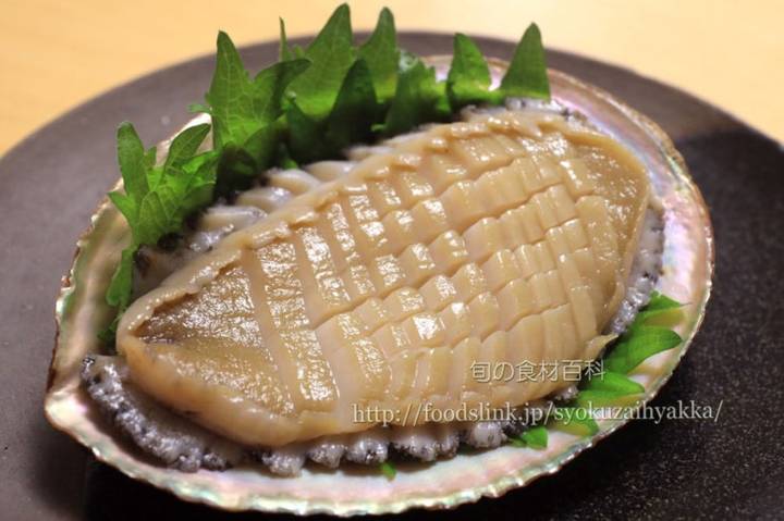 북방전복