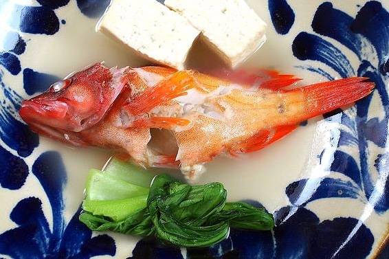 붉바리