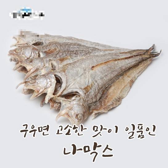 붉은메기