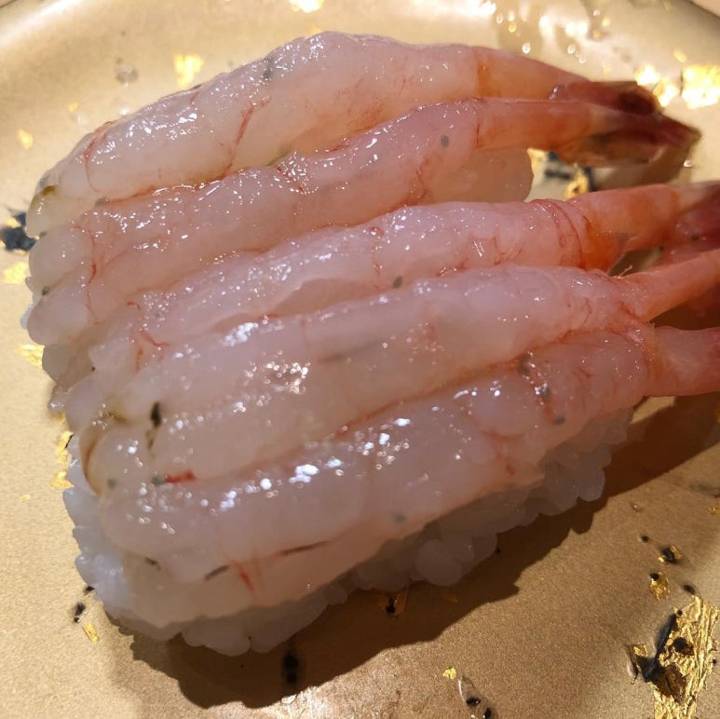 북쪽분홍새우
