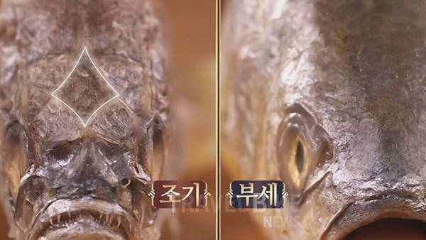 부세