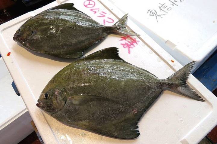 병치매가리