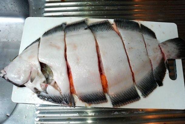 찰가자미