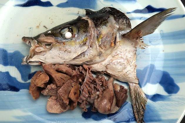 참치방어