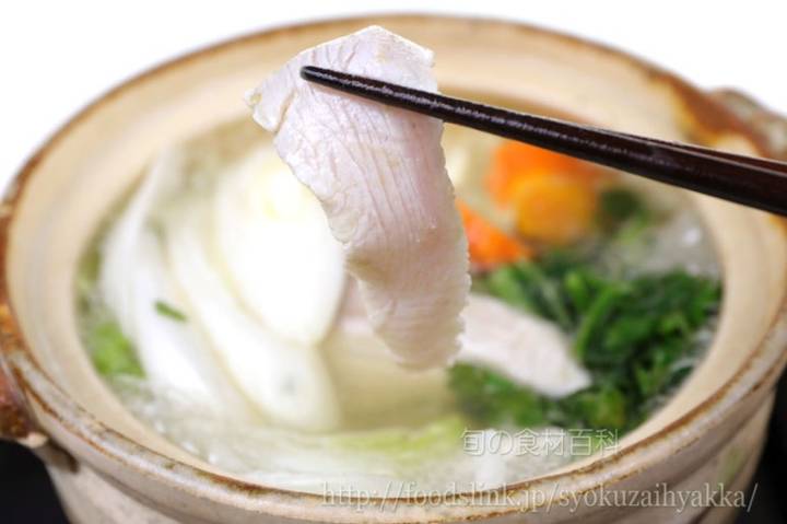 참치방어