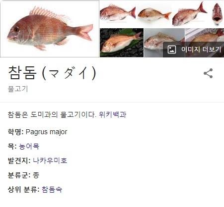 참돔