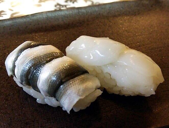 참갑오징어