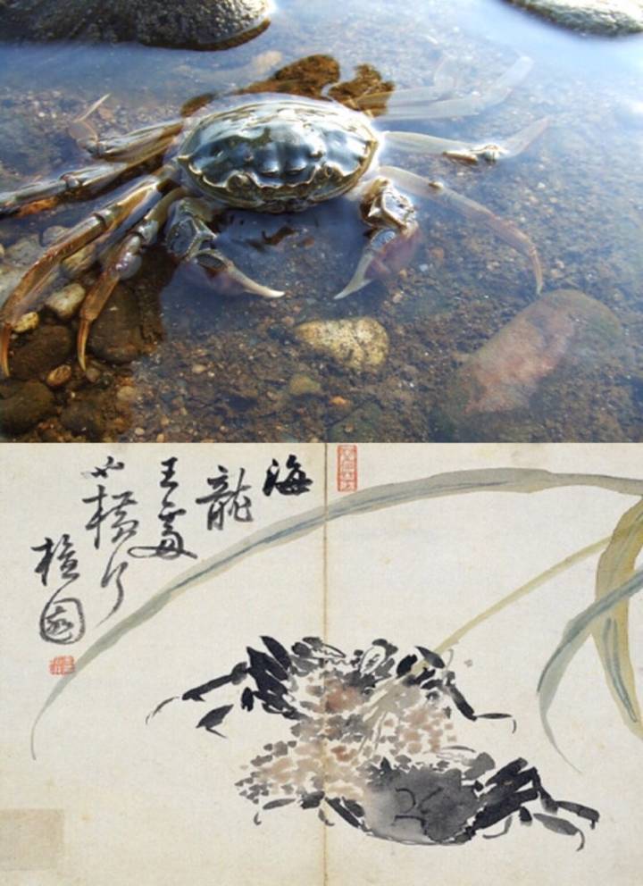 참게