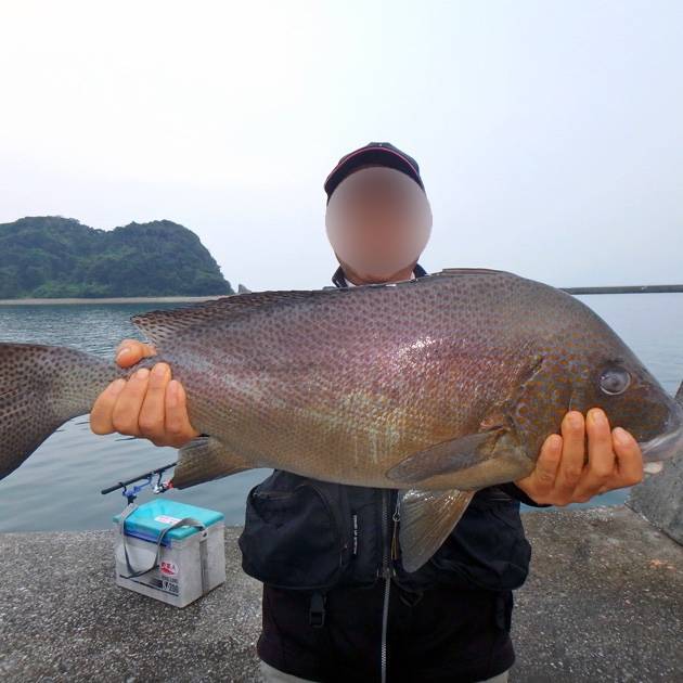청황돔