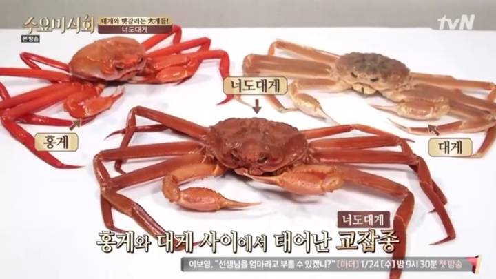 대게