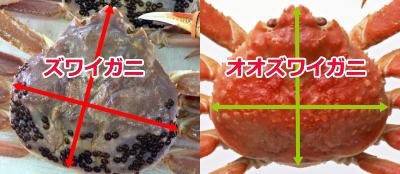 대게
