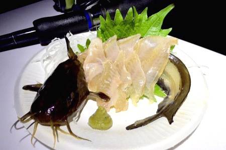 독가시치