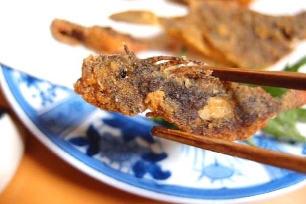 독가시치