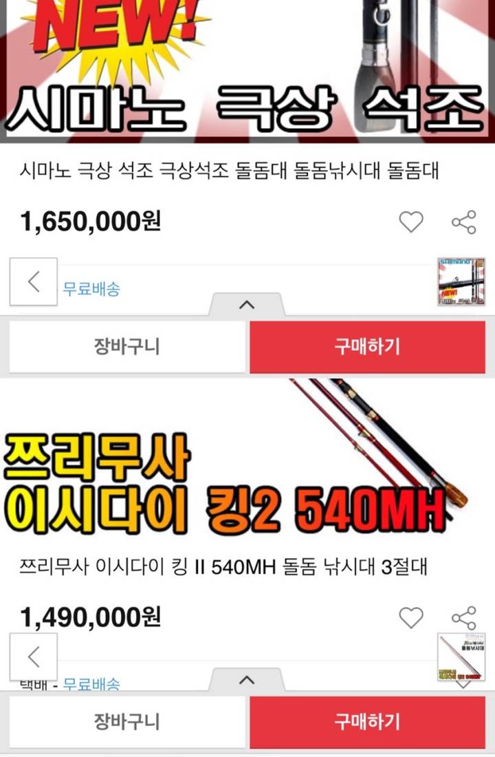 돌돔