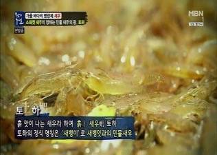돗대기새우