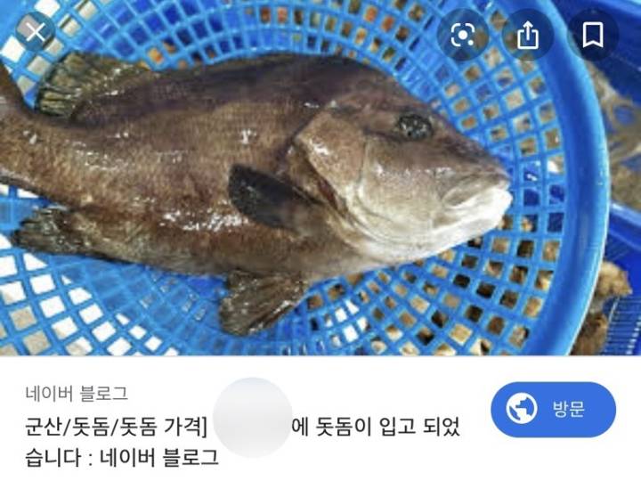 돗돔