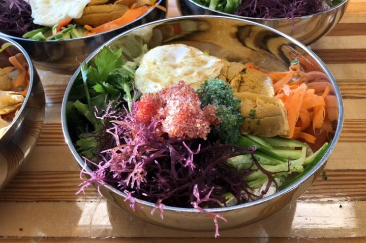 둥근성게