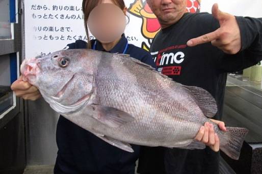 어름돔