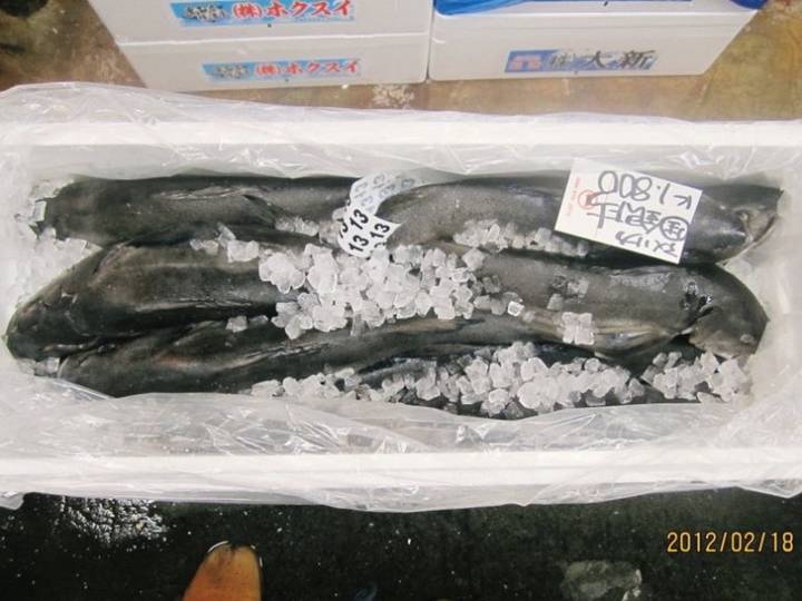 은대구