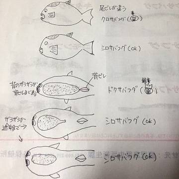 은밀복