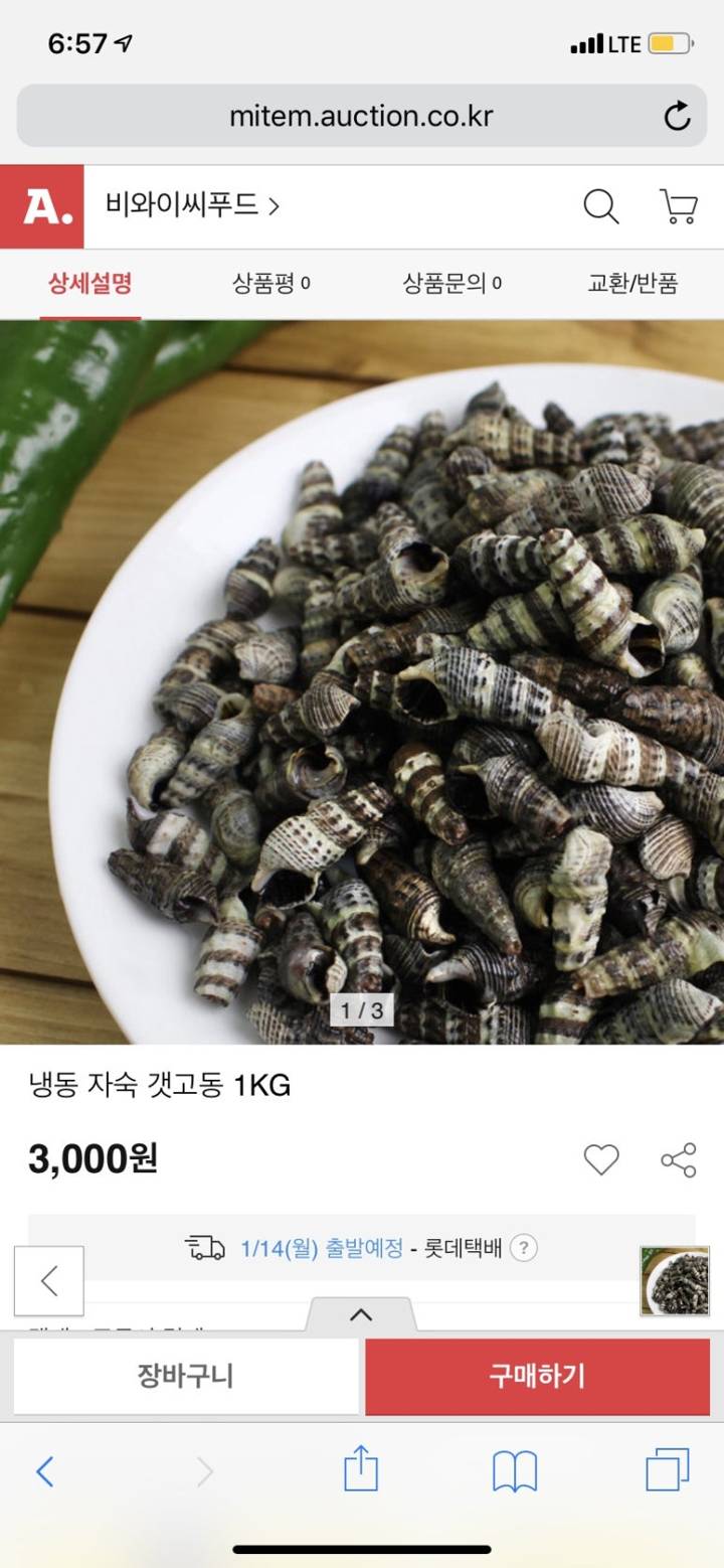 갯고둥