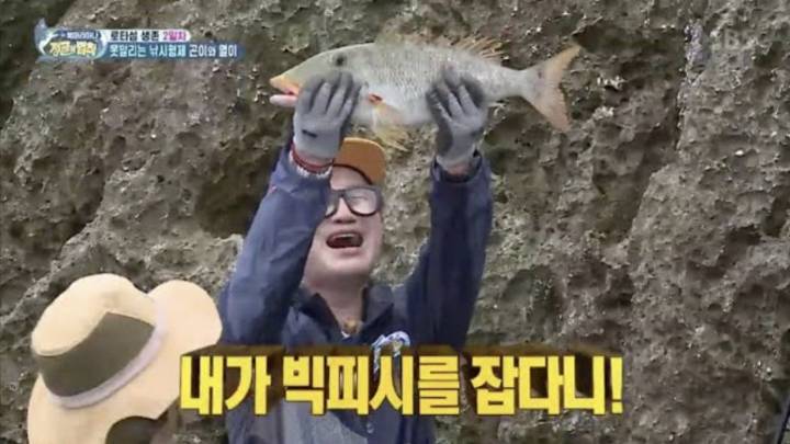 갈돔