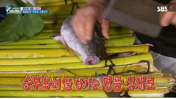 갈돔