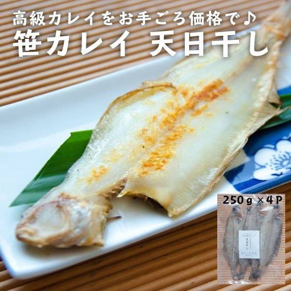갈가자미