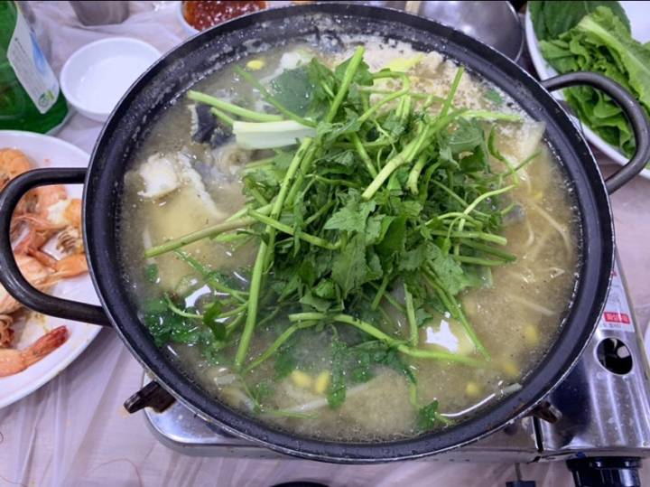 괴도라치