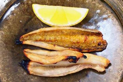 괴도라치
