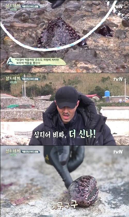 군소