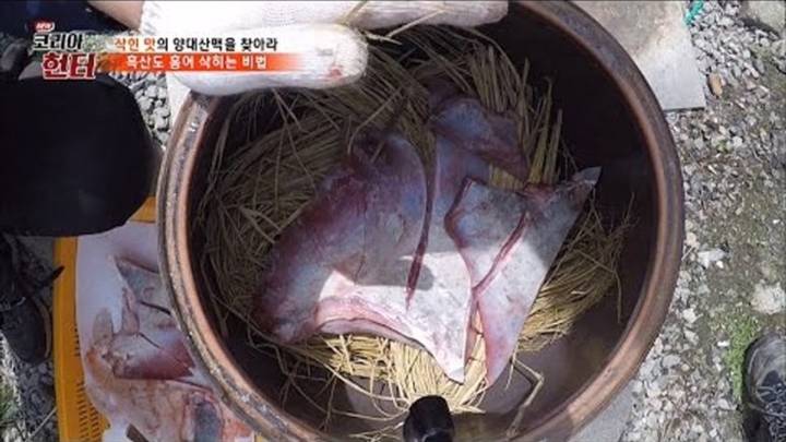 홍어