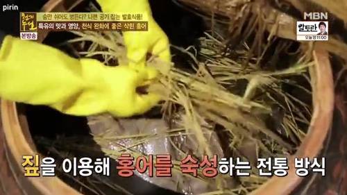 홍어
