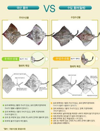 홍어