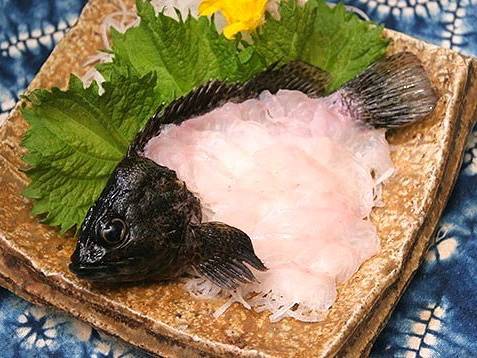 황해볼락