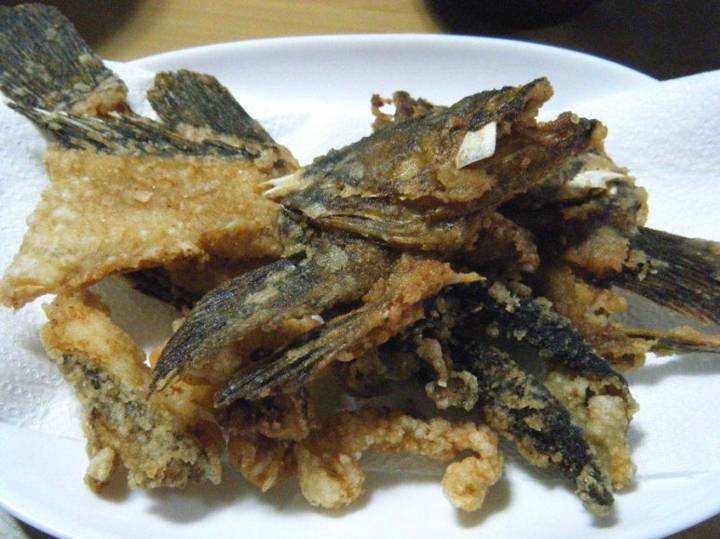 황해볼락