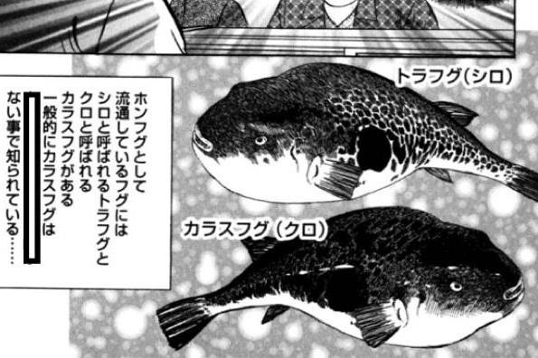자주복