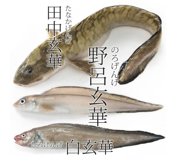 장갱이