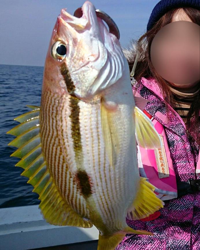 점줄퉁돔