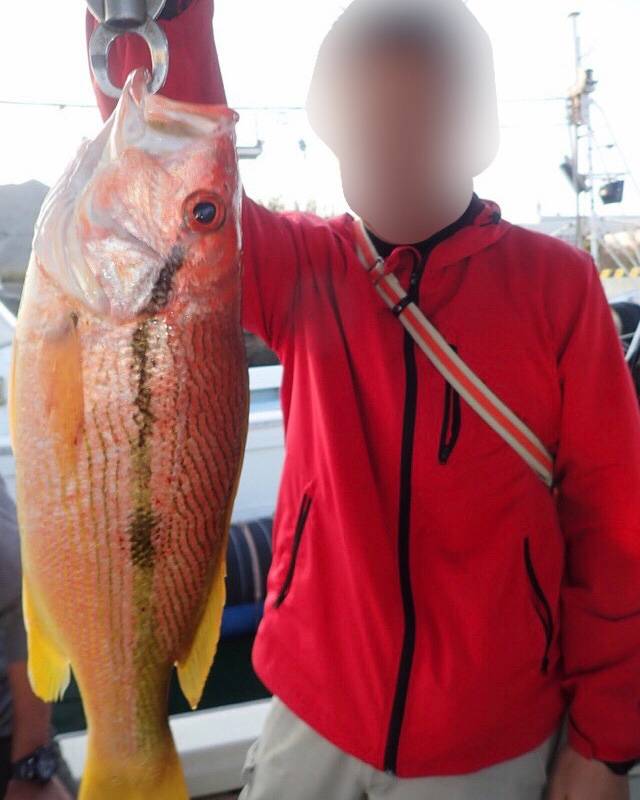 점줄퉁돔