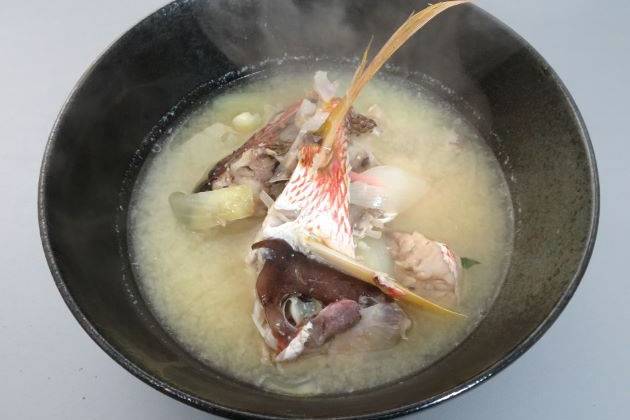 점줄퉁돔