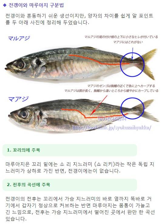 전갱이